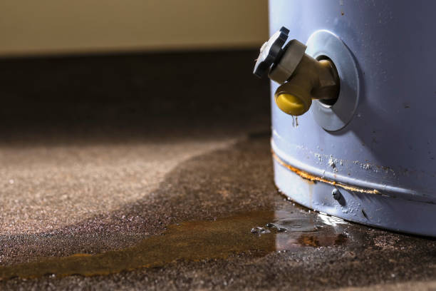 Best Water damage restoration near me  in Old Fig Garden, CA