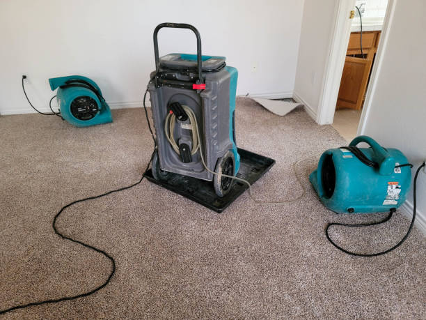 Best 24-hour water damage restoration  in Old Fig Garden, CA