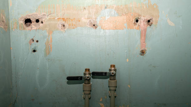  Old Fig Garden, CA Water damage restoration Pros
