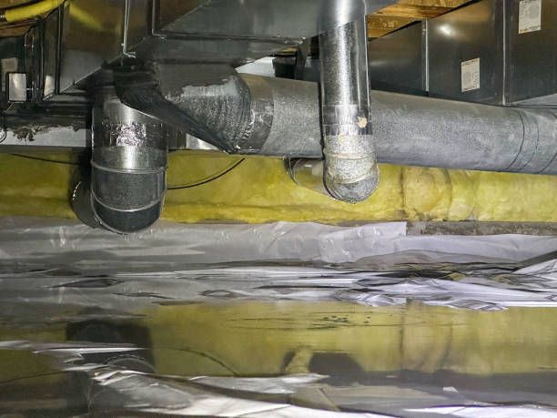 Best Basement water damage restoration  in Old Fig Garden, CA
