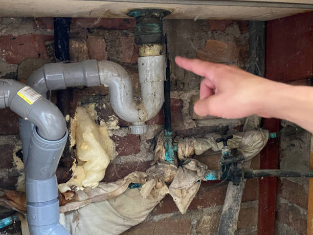Trusted Old Fig Garden, CA Water damage restoration Experts