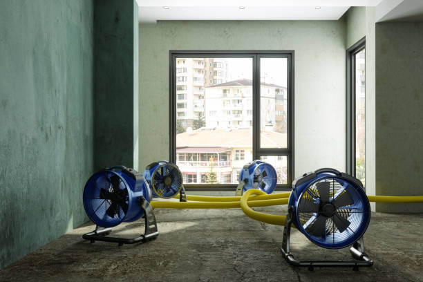 Best Water damage cleanup near me  in Old Fig Garden, CA